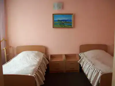 Гвоздика - 4