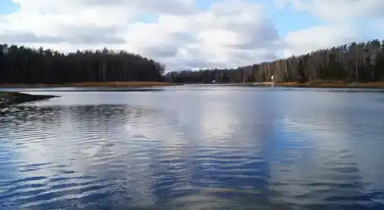 Флора Парк - 16