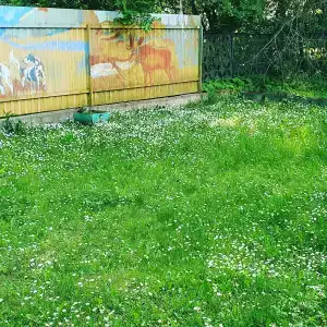 Агроусадьба у Сан Саныча - 16