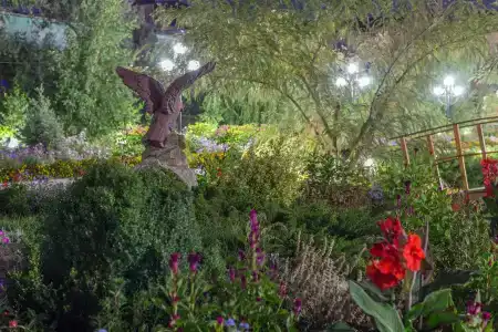 Запорожская Сечь - 4