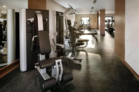 Holiday Inn & Suites - Dubai Festival City Mall, An Ihg - 18