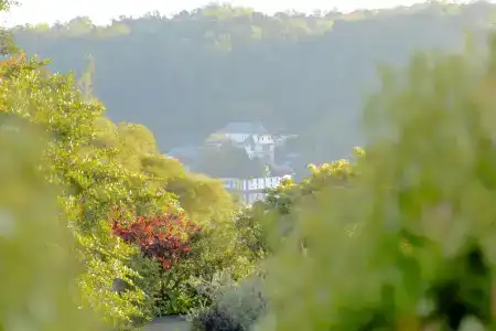 Castle Hill Bungalow - 6