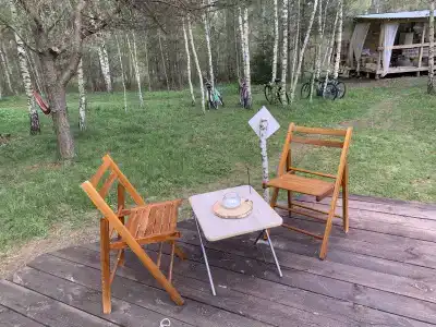 Звездный лес - 12