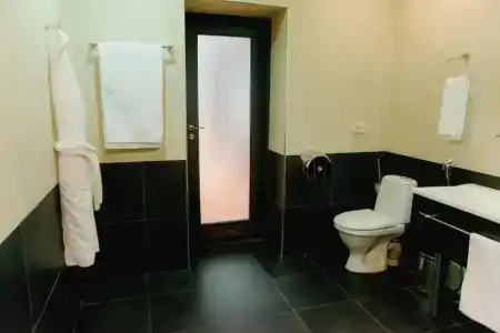 Сапар Стандарт - 40