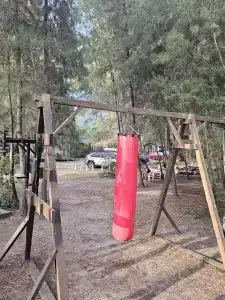 Forest Club - 17