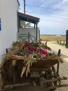 Жемчужина Степи - 19
