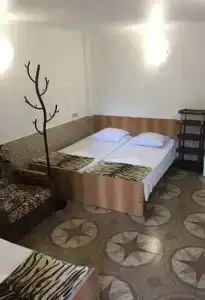Флора - 9