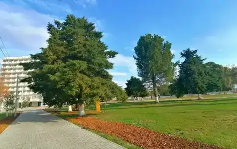 Апсны - 20