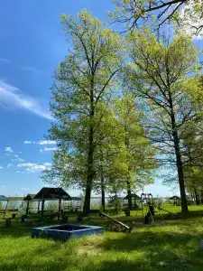 Волга - 17
