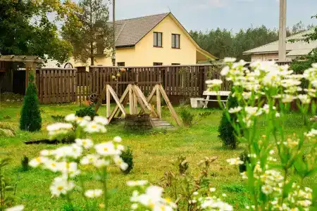 Боровики - 7