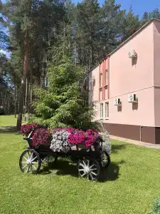 Пралеска - 15