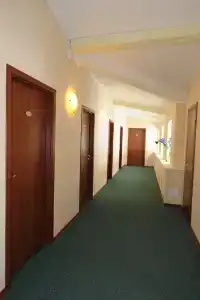 Ирис - 10