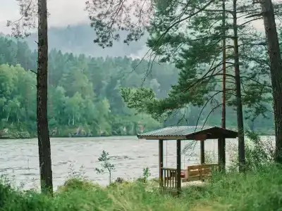 Altay Sense - 13