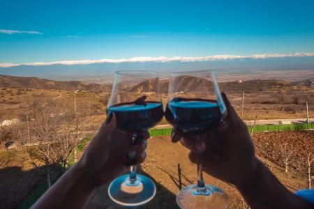 Villaggio Mirzaani Resort - 13