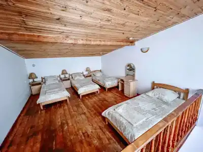 Динамо 2 - 69