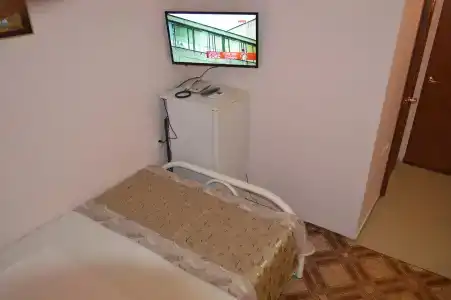 Астра - 10