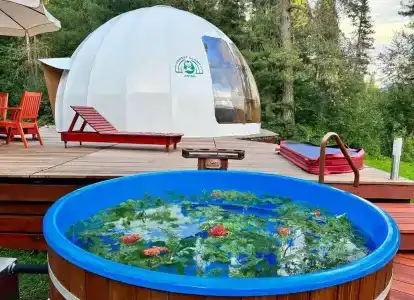 Глэмпинги Алтай Forest Glamp - 6
