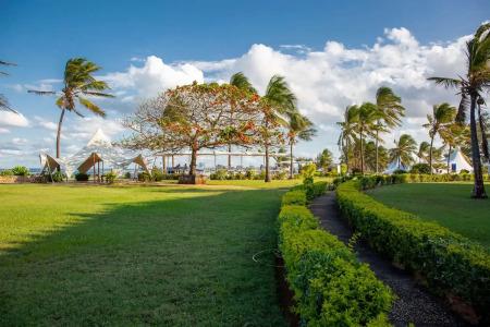 Golden Tulip - 7