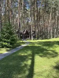 Пралеска - 4
