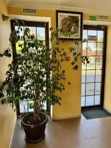 Raffinad MiniHotel - 26