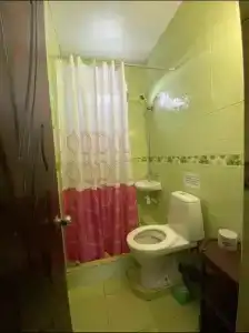 Флора - 15