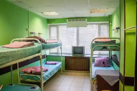 Мята - 20