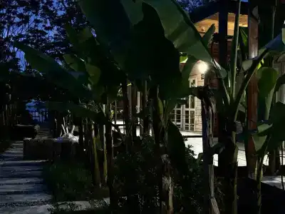 Aqua Palm Resort - 26