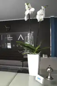 Villa Residence - 8