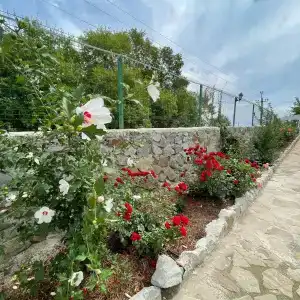Вилла-Парк - 4