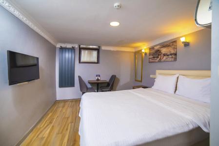 Zendy Suite - 16