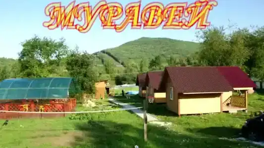 Муравей - 16