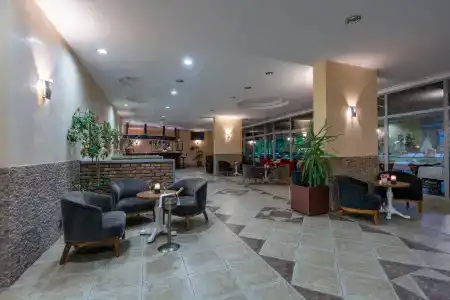 Grand Viking - 24
