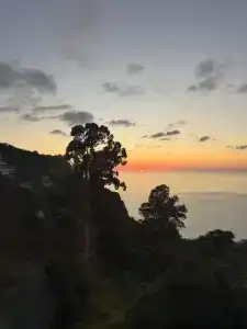 Квариати - 1