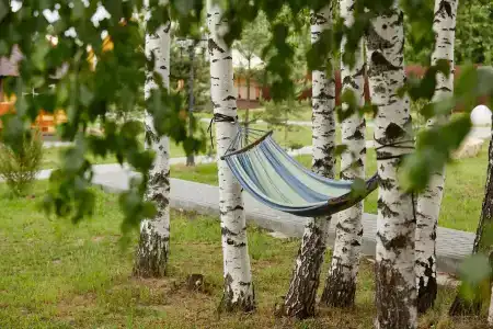 Мордасово - 4