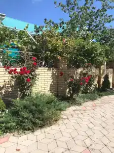 Центральная 14 - 8