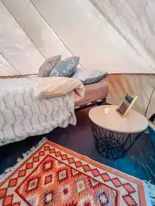 Звездный лес - 23