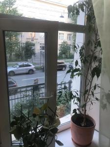 Белый Бегемот - 24