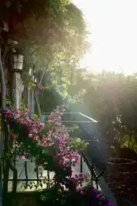 Villa Tamara - 21