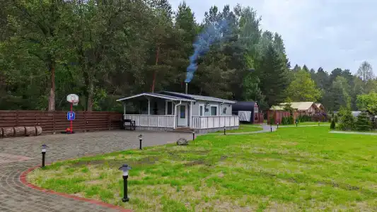Магия леса в Беловежской пуще - 190