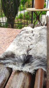 Романтик - 27