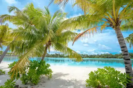 Rahaa Resort - 0