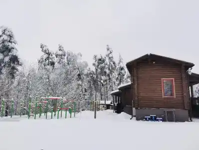 Заячья поляна - 4