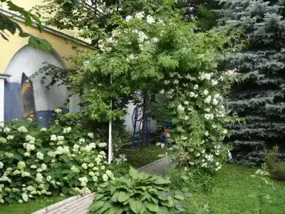 Эрлангенский Дом - 9