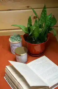 Виктория - 92