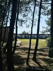 Forest Club - 8