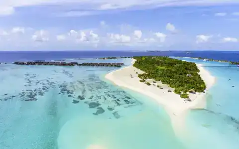 Paradise Island Resort & Spa - 2