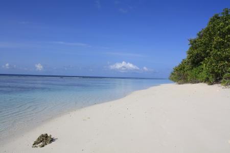 Boutique Beach All Inclusive Diving - 15