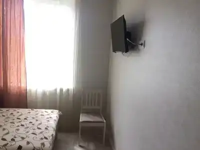 Флора - 13