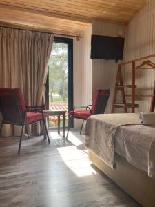 Koala Bungalows - 43