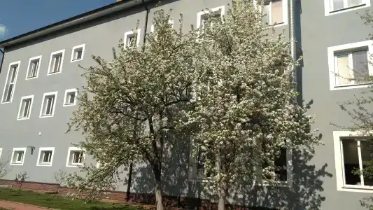 Загородный на Заречной - 1